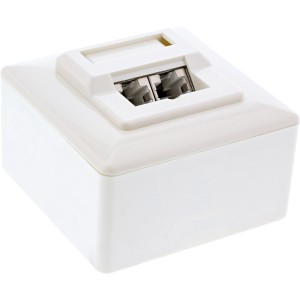 Skrzynka przyłączeniowa kat.5e AP 2x RJ45 Gniazdo RAL 9010, biały